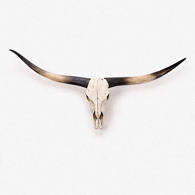 Animal Head Wall Decor, Large Faux Bull Head Wall Mount, Creative Personalized Decoration, for Hotels, Bar, Clubs and Home(Black)