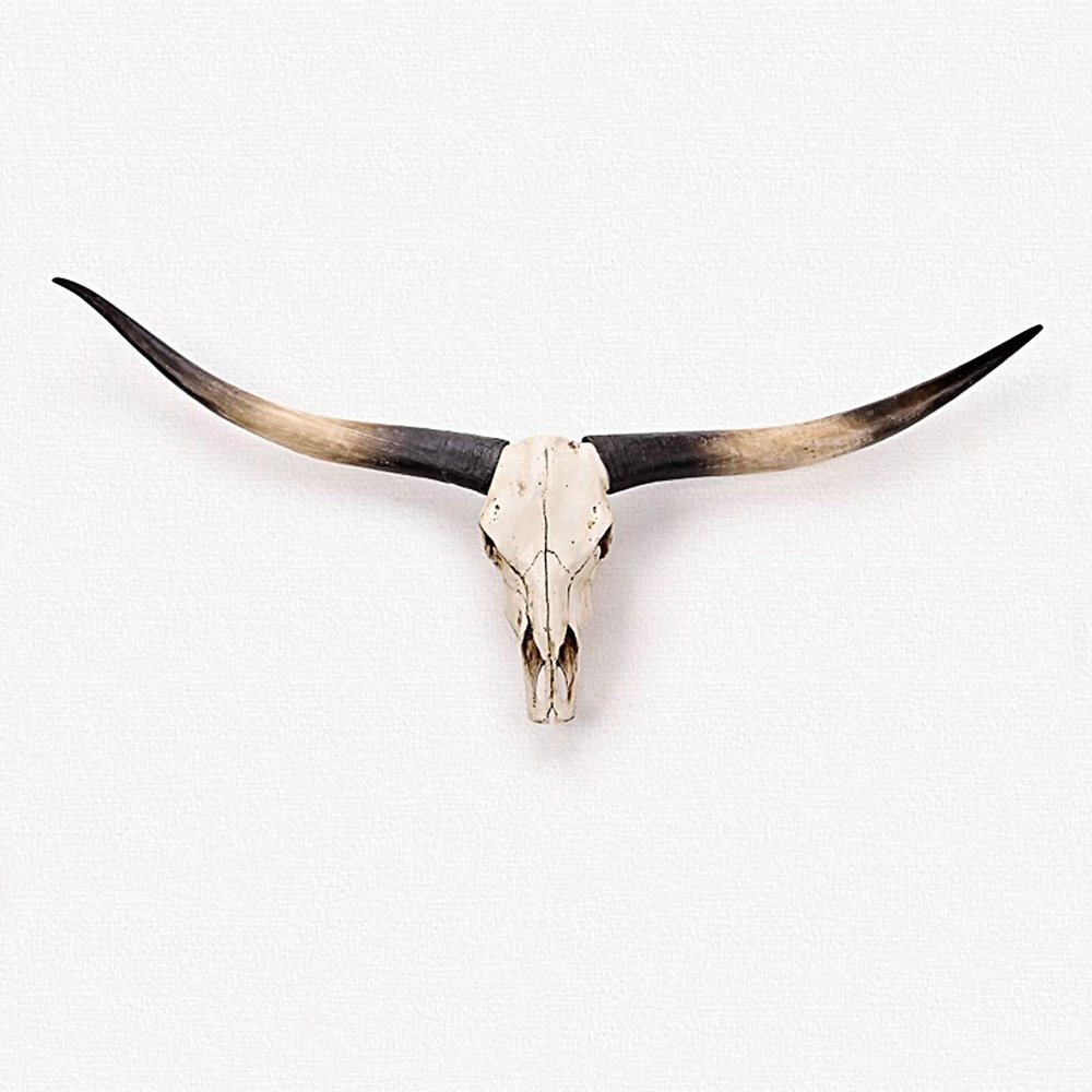 Animal Head Wall Decor, Large Faux Bull Head Wall Mount, Creative Personalized Decoration, for Hotels, Bar, Clubs and Home(Black)