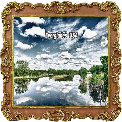 Everglades USA Tourist Souvenir Refrigerator Magnets Fridge Decoration Magnet