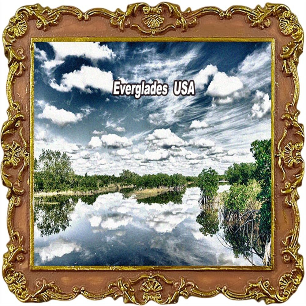Everglades USA Tourist Souvenir Refrigerator Magnets Fridge Decoration Magnet