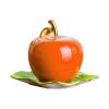Toothpick Dispenser Creative Fruit Toothpick Ceramic Toothpick Box Toothpick Unique Kitchen Decoration Toothpick Decoration Suitable for Kitchen Toothpicks For Appetizers(B) view 1