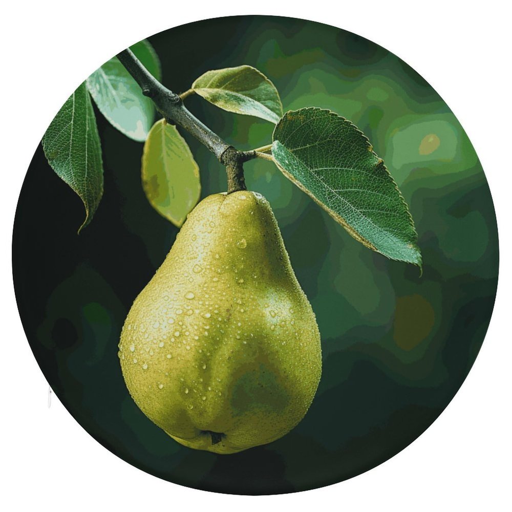 Dwrepo Round Seat Cushion Pears on The Tree Chair Cushions Non Slip Removable Chair Pad Stool Cushion Stool Seat Cover for Couch Sofa Floor Office Kitchen 15.3 Inch