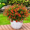 AevrBlos Artificial Mums Fall Flowers for Outdoors Fake Plants, 16 Bundles Faux Eucalyptus Flower Plants UV Resistant No Fade Faux Shrubs Home Garden Thanksgiving Porch Patio Autumn Decoration view 2