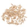 Tyenaza 100Pcs Mini Clothes Pins, Wooden Unfinished Sturdy Wide Application Wooden Clothespins Picture Clips for Photos, Crafts, Hanging Pictures, Baby Shower view 1
