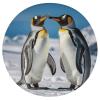 Dwrepo Round Seat Cushion Young Penguins with Snow Chair Cushions Non Slip Removable Chair Pad Stool Cushion Stool Seat Cover for Couch Sofa Floor Office Kitchen 15.3 Inch view 1