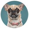 Dwrepo Round Seat Cushion Cute Chihuahua Pug Chair Cushions Non Slip Removable Chair Pad Stool Cushion Stool Seat Cover for Couch Sofa Floor Office Kitchen 15.3 Inch view 1
