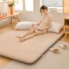 TFDRSEXVD Japanese Futon Floor Mattress,Thicken Tatami Mattress,Portable Sleeping Pad,Mattresses for House Couch,Roll Up Double Single Warm Mattress,Floor Lounger Bed,Flesh,90x190cm view 1