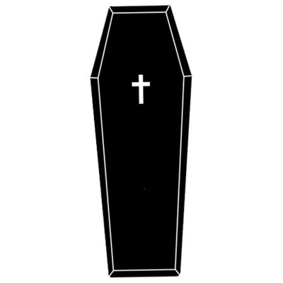SWEETBIUTI Goth Rug Horror Coffin Bath Mat Soft Halloween Bath Mat Water-Absorbent Non Slip Halloween Rug for Bedroom Kitchen Room Gifts, 51x20 Inch Black.