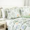 Chezmoi Collection Gregory 2-Piece Southwestern Serene Desert Quilt Set - Green Blue Cactus Succulent Plant Printed Microfiber Lightweight Quilted Bedspread Set, Twin (70" x 90") view 3