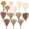 300 PCS Dried Pampas Grass Decor, Dried Flower Bouquets for Wedding, Home, Centerpiece Table, Modern Home, Western Living Room, Nurserie, Nursery, Boho Room, Beach, Women Office, and Boho Decor view 1