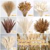 300 PCS Dried Pampas Grass Decor, Dried Flower Bouquets for Wedding, Home, Centerpiece Table, Modern Home, Western Living Room, Nurserie, Nursery, Boho Room, Beach, Women Office, and Boho Decor view 2