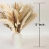 300 PCS Dried Pampas Grass Decor, Dried Flower Bouquets for Wedding, Home, Centerpiece Table, Modern Home, Western Living Room, Nurserie, Nursery, Boho Room, Beach, Women Office, and Boho Decor view 4