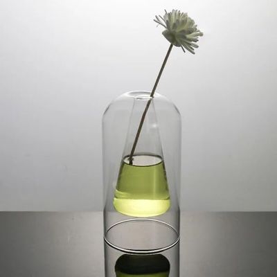 Aria Doejay Unique Small Flower Vase, Modern Double Hollow Clear Glass - Bud vases Small vases for centerpieces Flower, Vase Home& Table Decor (Inner Triangle Transparency)