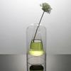 Aria Doejay Unique Small Flower Vase, Modern Double Hollow Clear Glass - Bud vases Small vases for centerpieces Flower, Vase Home& Table Decor (Inner Triangle Transparency) view 1