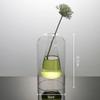 Aria Doejay Unique Small Flower Vase, Modern Double Hollow Clear Glass - Bud vases Small vases for centerpieces Flower, Vase Home& Table Decor (Inner Triangle Transparency) view 2