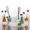 Aria Doejay Unique Small Flower Vase, Modern Double Hollow Clear Glass - Bud vases Small vases for centerpieces Flower, Vase Home& Table Decor (Inner Triangle Transparency) view 3