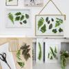 30PCS Green Dried Pressed Leaf Leaves, YouthBro Greenery Real Nature Plant Herbarium Set for DIY Jewelry Candle Scrapbook Art Craft Decors,Green view 3