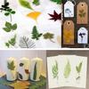 30PCS Green Dried Pressed Leaf Leaves, YouthBro Greenery Real Nature Plant Herbarium Set for DIY Jewelry Candle Scrapbook Art Craft Decors,Green view 4