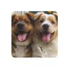 Strong Magnetic Fridge Funny Dogs Magnet Fridge Sticker Decorative Refrigerator Magnets Square Small Funny Whiteboard Magnets for Home Kitchen Office Cabinet view 1