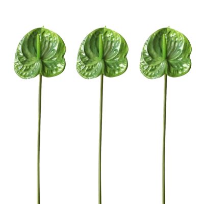 AtHomeYuyue 3pcs Artificial Anthurium Lily Flowers 22" Green Fake Plastic Tropical Flowers for Vase Bouquets Home Office Wedding DecorGreen