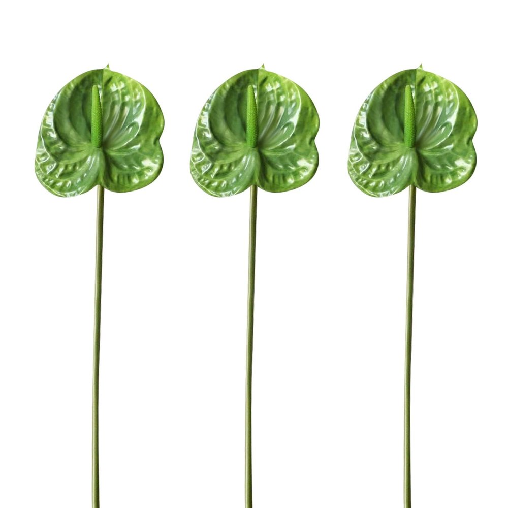 AtHomeYuyue 3pcs Artificial Anthurium Lily Flowers 22" Green Fake Plastic Tropical Flowers for Vase Bouquets Home Office Wedding DecorGreen