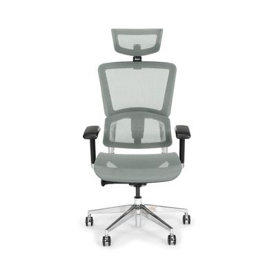 NBF Ergonomic Leather Office Chair with Adjustable Armrests and Headrest Removable,Ventilated Mesh High Back Computer Chair with Seat Slider,28" D x 28" W x 36" H, Aluminum, Gray