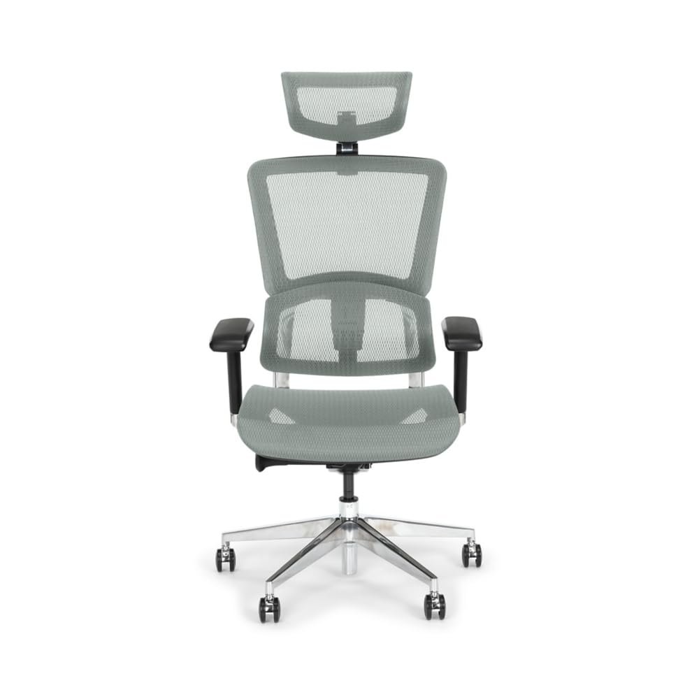 NBF Ergonomic Leather Office Chair with Adjustable Armrests and Headrest Removable,Ventilated Mesh High Back Computer Chair with Seat Slider,28" D x 28" W x 36" H, Aluminum, Gray