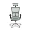 NBF Ergonomic Leather Office Chair with Adjustable Armrests and Headrest Removable,Ventilated Mesh High Back Computer Chair with Seat Slider,28" D x 28" W x 36" H, Aluminum, Gray view 1