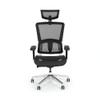 NBF Ergonomic Leather Office Chair with Adjustable Armrests and Headrest Removable,Ventilated Mesh High Back Computer Chair with Seat Slider,28" D x 28" W x 36" H, Aluminum, Gray view 3