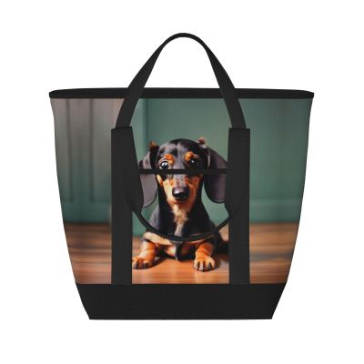 YQxwJL Cute Dachshund Duggee Print Large Cooler Bag Tote Bag,Reusable Grocery Bag,Lunch Box Bag, For Picnic Beach Camping