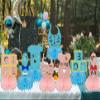 8 Pcs Boy or Girl Honeycomb Centerpieces - Gender Reveal Table Decorations - Gender Reveal Centerpieces for Table view 4
