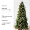 Balsam Hill Silverado Slim - Realistic Narrow Christmas Tree with True Needle Foliage with Premium Stand & Easy Assembly for Indoor Holiday Decorating, Unlit, 6' view 2