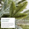 Balsam Hill Silverado Slim - Realistic Narrow Christmas Tree with True Needle Foliage with Premium Stand & Easy Assembly for Indoor Holiday Decorating, Unlit, 6' view 3