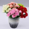 10Heads Carnations Flowers, Carnations Artificial Flowers, Red Pink Purple White Green 11.8in Silk Carnations For Wedding, Parties, Festivals, (Rose Red) view 4
