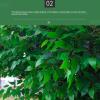 Artificial Wishing Tree Banyan Simulation Green Plants Perfect Housewarming Gift Modern Wedding Indoor Outdoor Home Office Party Decoration Green(1.8x1.4m) view 4