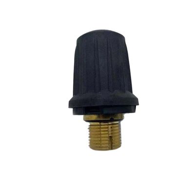 Steam Cleaner Accessories Compatible for KARCHERSC1 SC2 SC4 SC5 CTK10 SG4-4 Brass Safety Valve Kit Home Appliance Part(SG4-4)