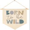 Wild Theme-Flag Presents for Baby Boys Girls Kids-Canvas Pennant Banner Pennant Wall Decor Gifts for Nursery Baby Room Playroom Homeschool Reading Room Bedroom view 1