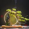 Artificial Plants Artificial Bonsai Tree Desktop Decoration Rockery Plants and LED Lights Realistic Indoor Artificial Green Plants Suitable for Living Room Office Fake Plants Bonsai Tree(B) view 2