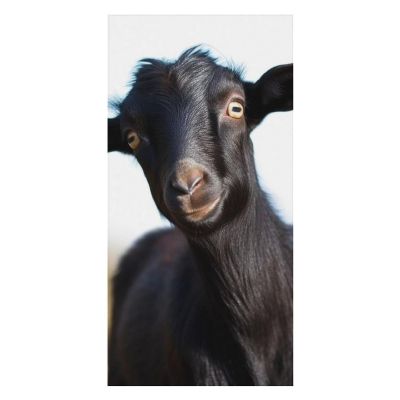 SYJTGDE Plus Size Beach TowelsCute Black Goat AnimalBeautifully Painted Beach Towels Unisex Beach Towels Classic and Stylish Travel Beach Towels