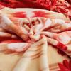 10Lb Heavy Warm Winter Fleece Plush Blanket King Size, Heavy Korean Mink Fleece Throw Blanket - Silky Soft and Warm,2 Ply Reversible Raschel Bed Blanket,H,150x200cm/59x79in 6lb view 4