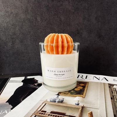 Succulent Candle, Handmade Organic Soy Wax Scented Candle, Cactus Candle, Birthday Gift, Housewarming Gift, Thank You Gift, Cactus Decor 6 oz (Orange)