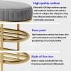 JTYMZYY Shoe Bench with Multiple Storage Spaces Upholstered Tufted Bench Shoe Stool Luxurious Shoe Rack Organizer with Velvet Seat Bed End Bench for Entryway,Hallway,Living Room view 4
