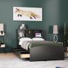Woodpecker's Inc Captain Bed with 3 Drawers and Bookcase Headboard view 1