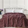 Tribeca Living Organic Cotton King Oversized Blanket, Soft and Cozy, Yarn Dyed, Fade Resistant, Paisley view 1