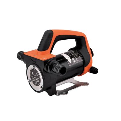 Mini DC Electric Oil Pump 12v 24v 200w 40l/min High Speed Oil Pump Kerosene Water Pump Water Transport(24V)