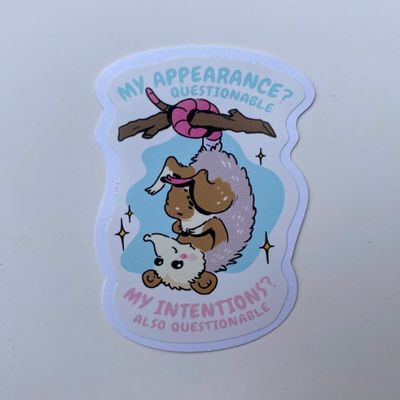 'Pack3' My Appearance Questionable My Intentions Also Questionable Opossum Sticker Meme Funny for Fridge, Car, Truck, Window 3"