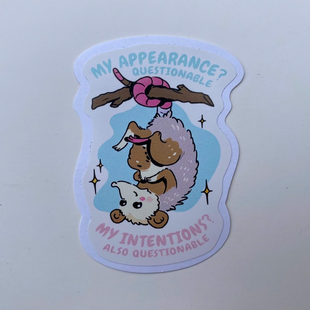 'Pack3' My Appearance Questionable My Intentions Also Questionable Opossum Sticker Meme Funny for Fridge, Car, Truck, Window 3"