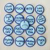 Big Bag of F*cks to Give Zipper Pouch, with Different Fucks Zipper Prefect Felt Coins That Can Be Embroidered on Clothes, Hats, Bag of Fucks Gag Gift for Friends (Green) view 2