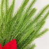 4 PCS Poinsettias Artificial Christmas Flowers, 17.7 Inch Faux Pine Greenery Stems for Flower Arrangements, Christmas Pine Picks Branches for DIY Crafts Wreath Home Garden Decor view 4