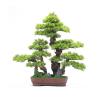 Bustards Artificial Tree Office Study Chinese Decorative Ornaments Simulation Bonsai Fake Green Plants Potted Hotel High-Grade Furnishings Artificial Plants Indoor view 1